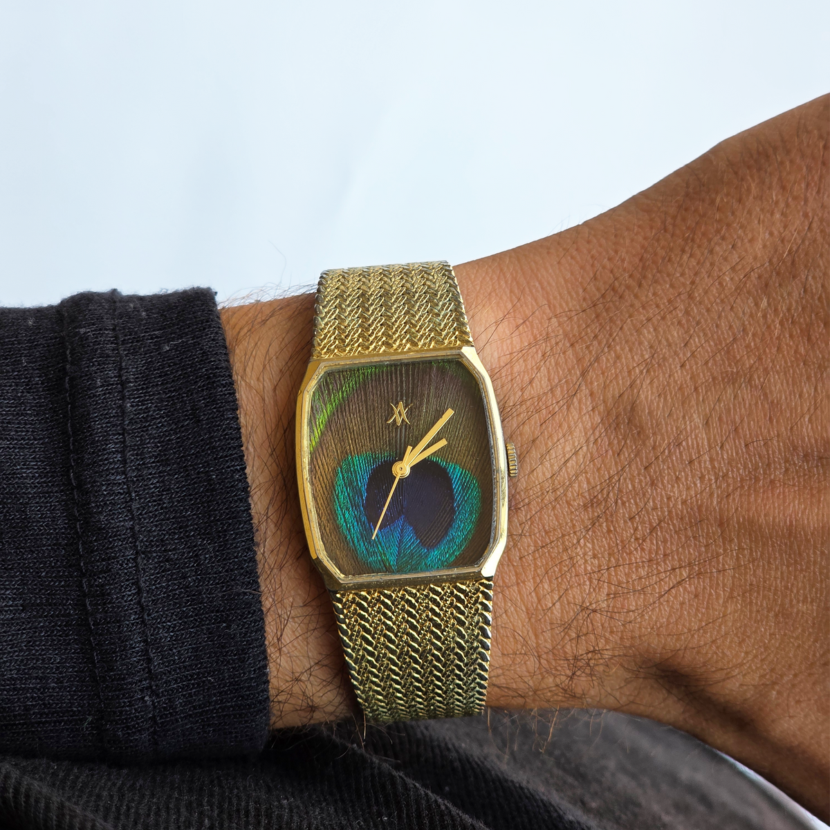 183. Peacock Feather